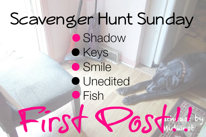 First Post Scavenger Hunt Sunday on southeastbymidwest.com #scavengerhuntsunday