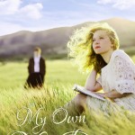 My Own Mr Darcy by Karey White on southeastbymidwest.com #literary #bookclub #bookreview