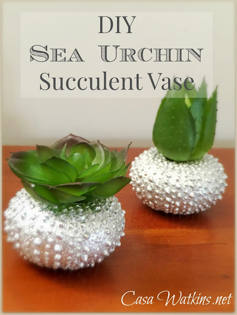 DIY Sea Urchin Succulent Vase from Best of the Blogosphere Link Party