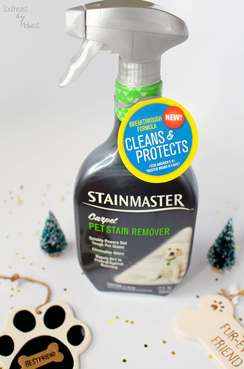 DIY Gift Basket: New Pet Edition Cleaner || Southeast by Midwest #CarpetProtect #cbias #ad