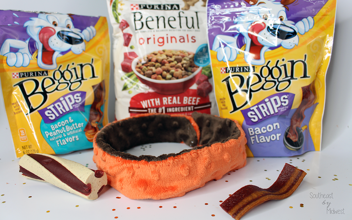 DIY Holiday Pet Collar and Purina Treats Southeast by Midwest
