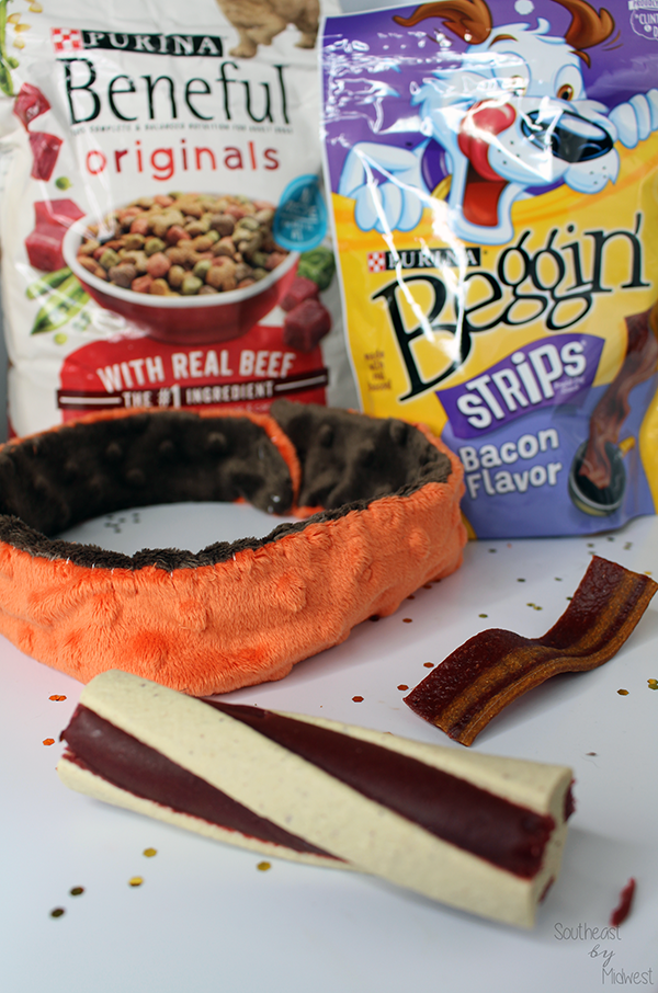 DIY Holiday Pet Collar and Purina Treats || Southeast by Midwest #ToPetsWithLove #cbias #ad