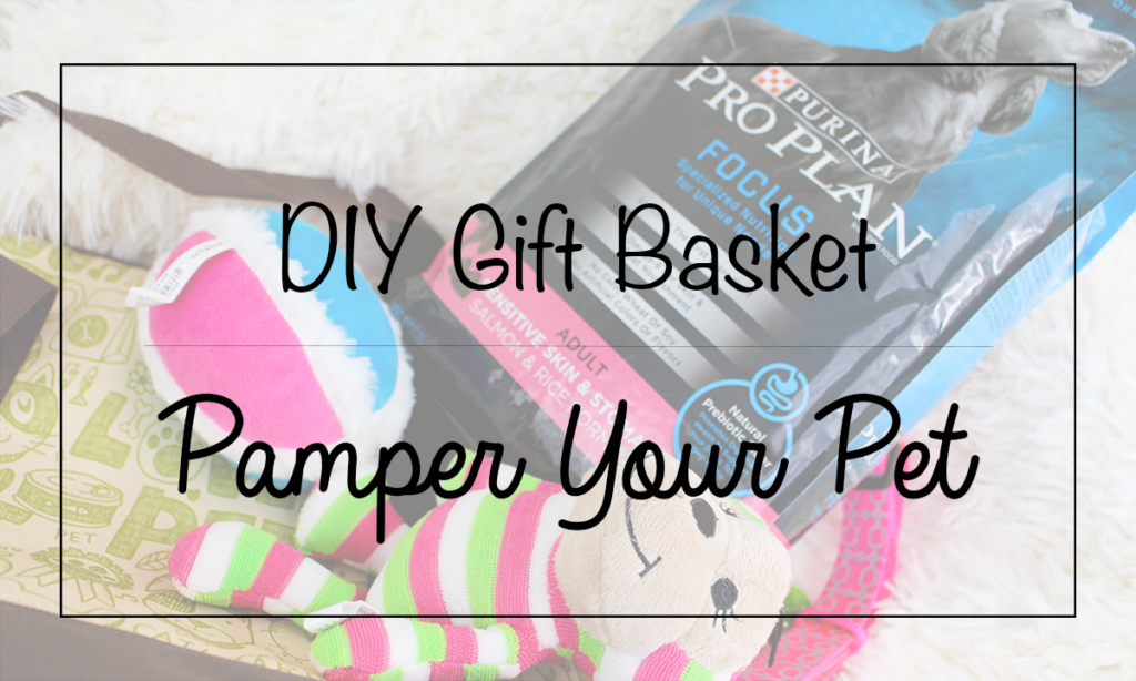 DIY Gift Basket to Pamper Your Pet Featured Image || Southeast by Midwest #ad #cbias #TheDogumentaries