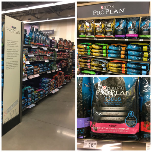 DIY Gift Basket to Pamper Your Pet Southeast by Midwest