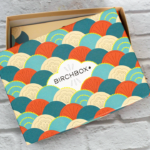 November Birchbox Unboxing Featured Image || Southeast by Midwest #beauty #bbloggers #beautyguru #birchbox